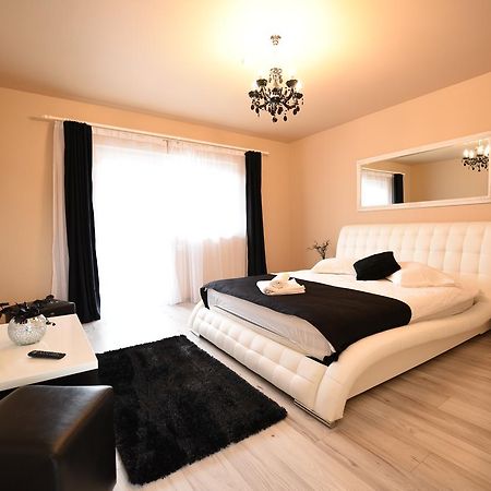 Vila Nicole Hotel Haţeg Buitenkant foto