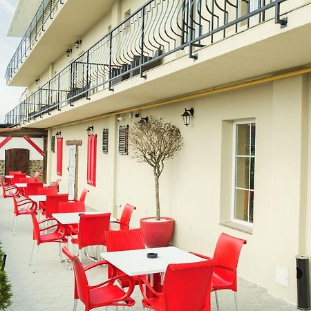 Vila Nicole Hotel Haţeg Buitenkant foto