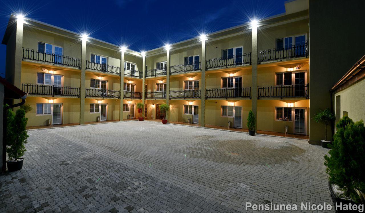 Vila Nicole Hotel Haţeg Buitenkant foto
