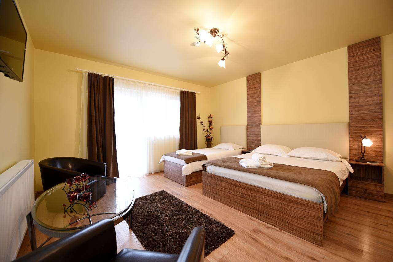 Vila Nicole Hotel Haţeg Buitenkant foto