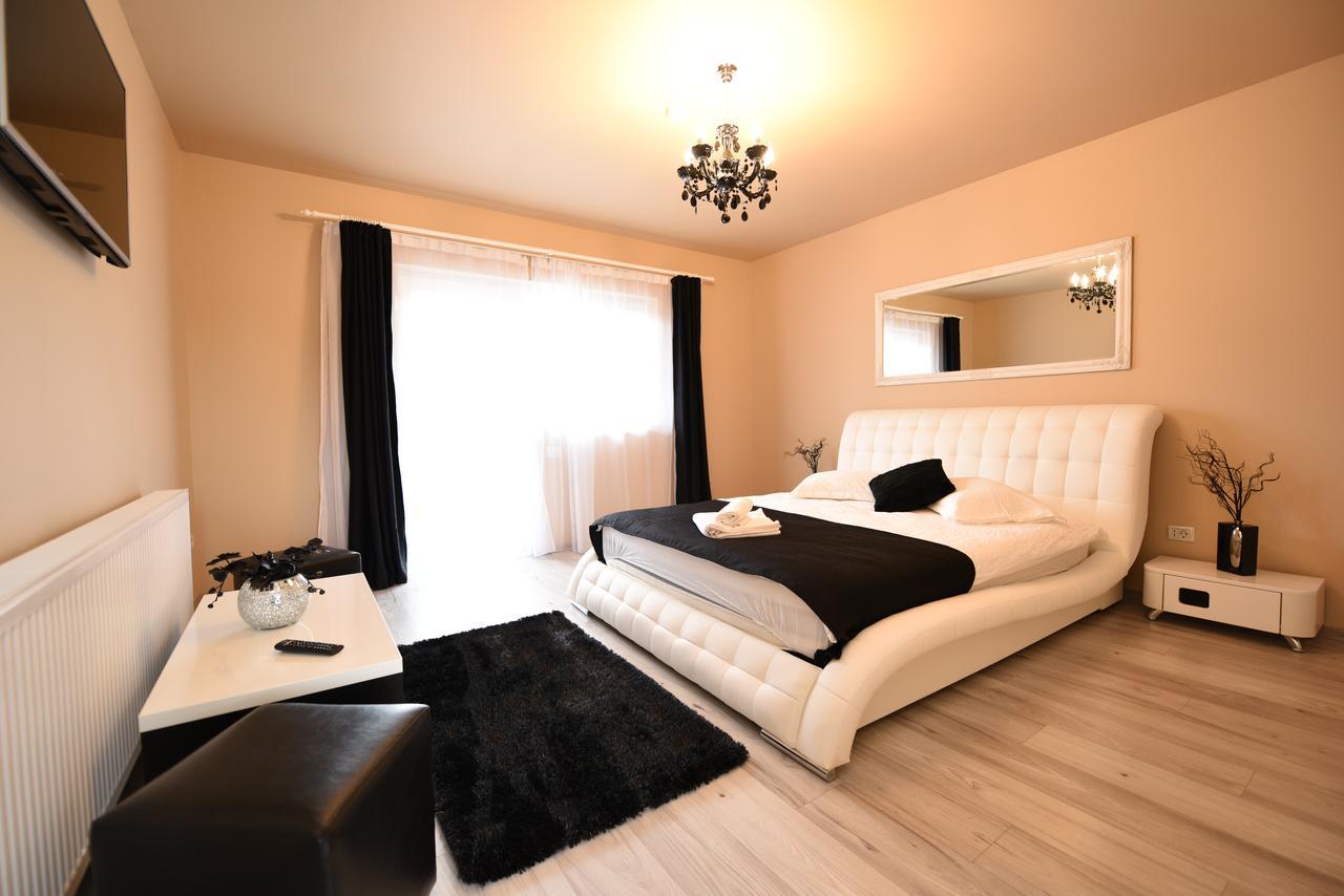 Vila Nicole Hotel Haţeg Buitenkant foto