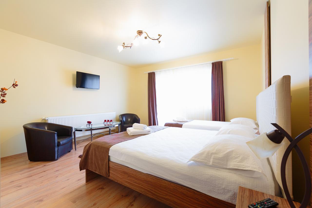 Vila Nicole Hotel Haţeg Buitenkant foto