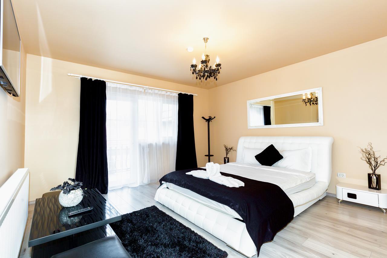 Vila Nicole Hotel Haţeg Buitenkant foto