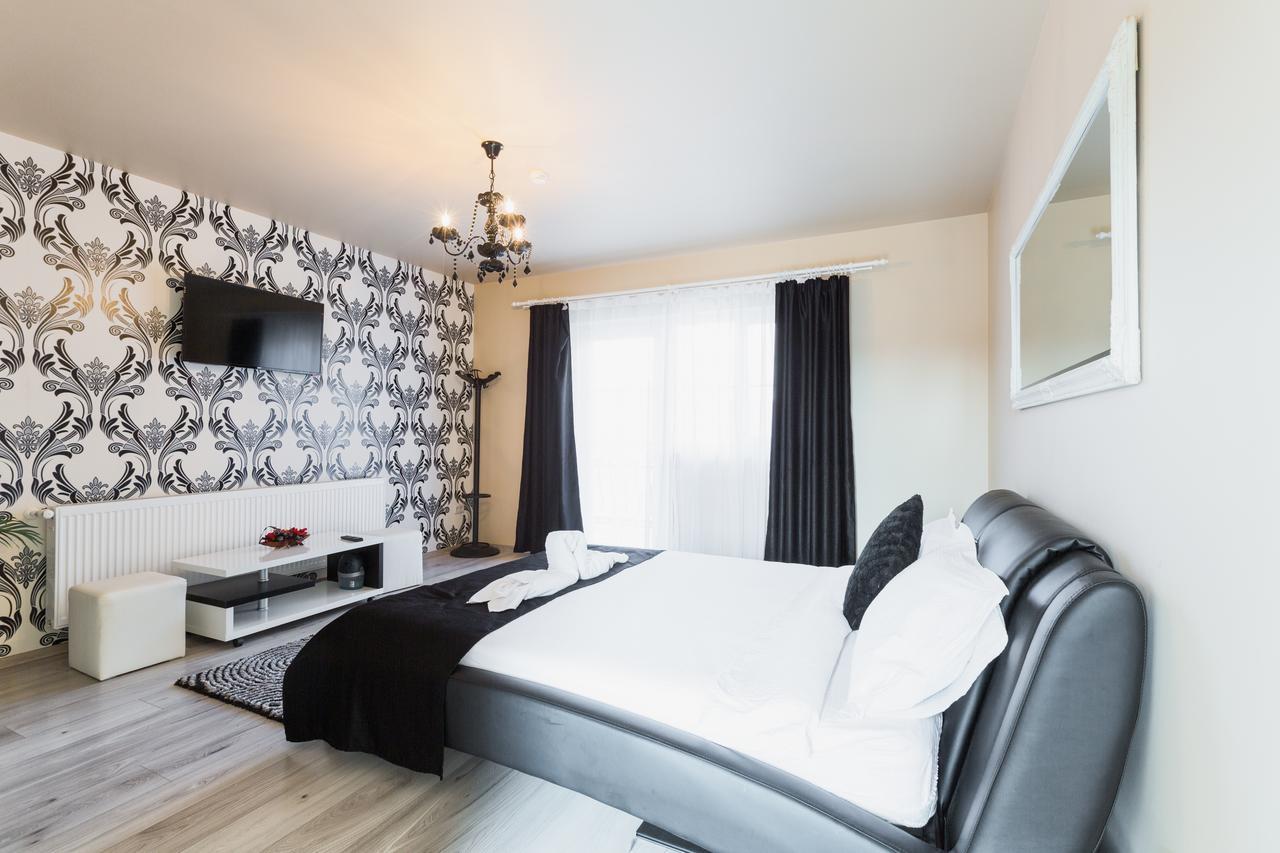 Vila Nicole Hotel Haţeg Buitenkant foto