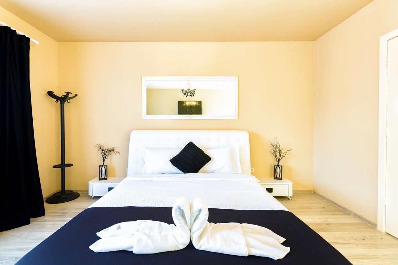 Vila Nicole Hotel Haţeg Buitenkant foto
