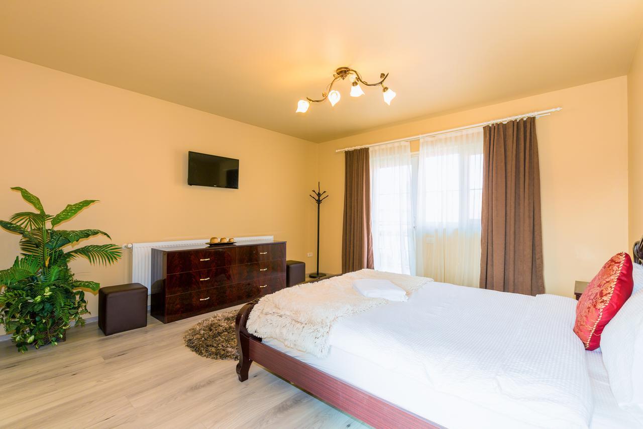 Vila Nicole Hotel Haţeg Buitenkant foto