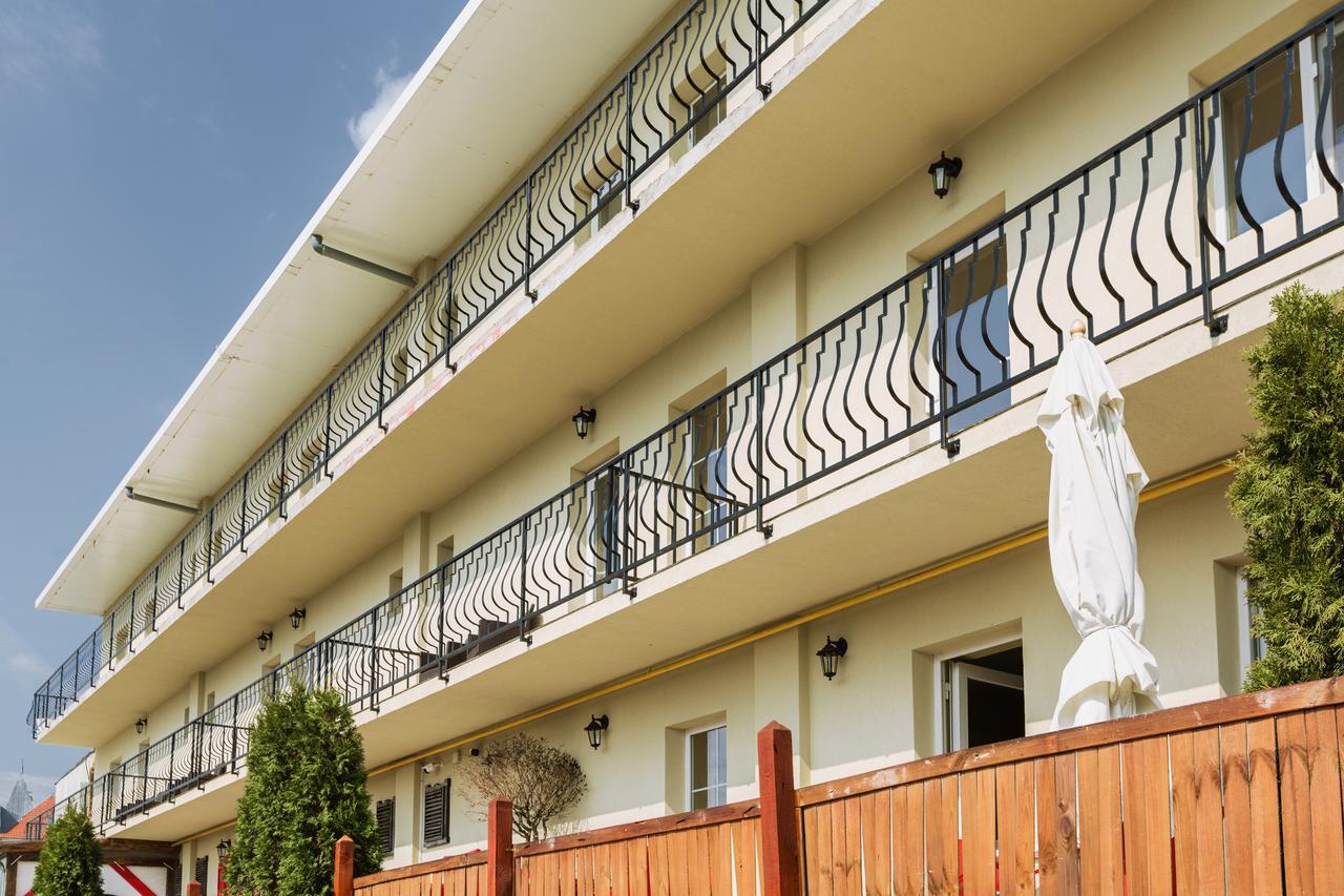 Vila Nicole Hotel Haţeg Buitenkant foto