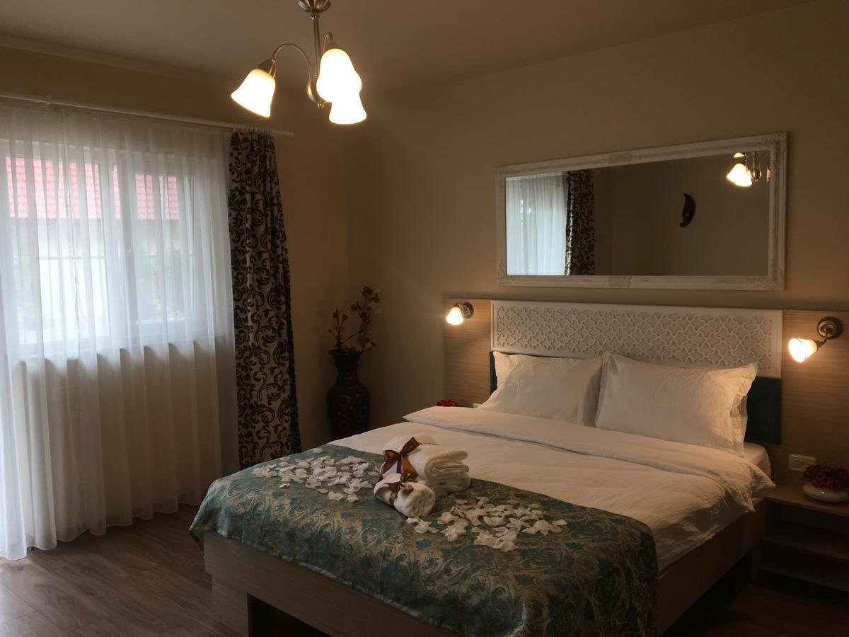 Vila Nicole Hotel Haţeg Buitenkant foto