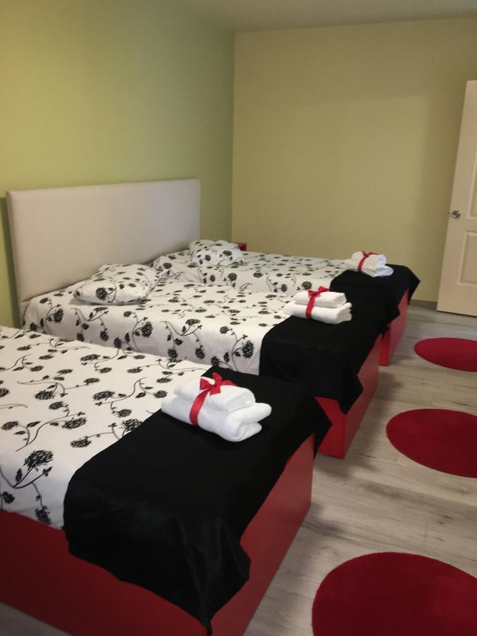 Vila Nicole Hotel Haţeg Buitenkant foto