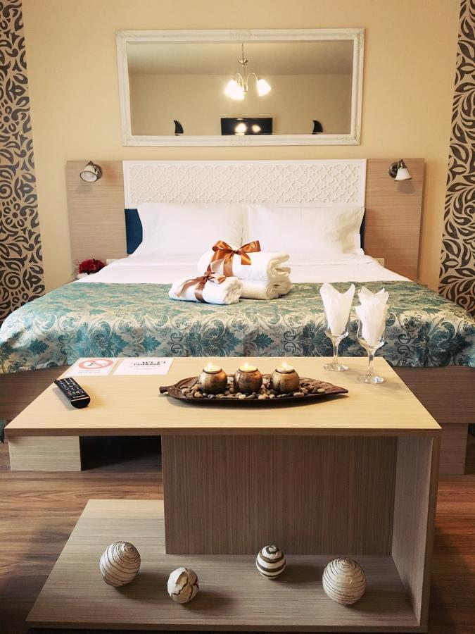 Vila Nicole Hotel Haţeg Buitenkant foto