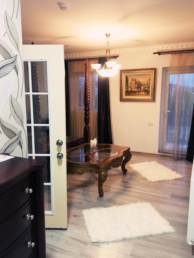 Vila Nicole Hotel Haţeg Buitenkant foto