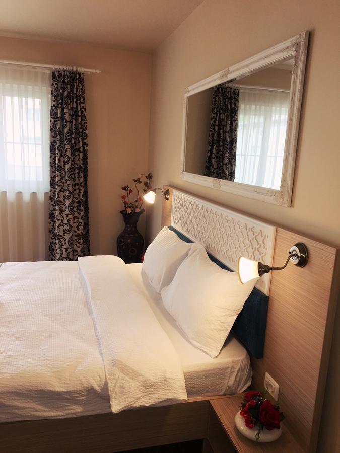 Vila Nicole Hotel Haţeg Buitenkant foto