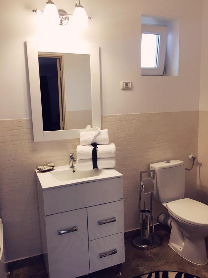 Vila Nicole Hotel Haţeg Buitenkant foto