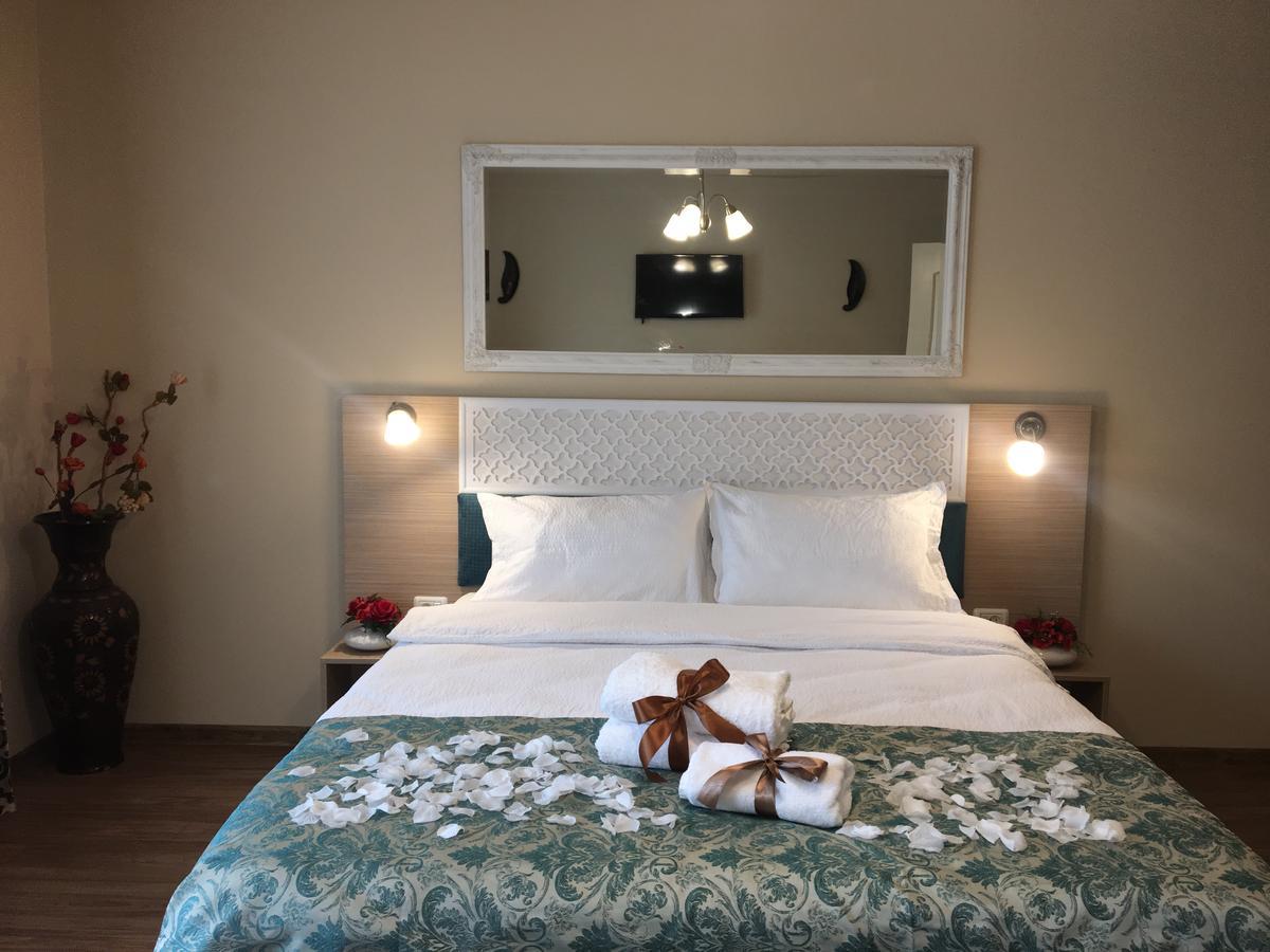 Vila Nicole Hotel Haţeg Buitenkant foto
