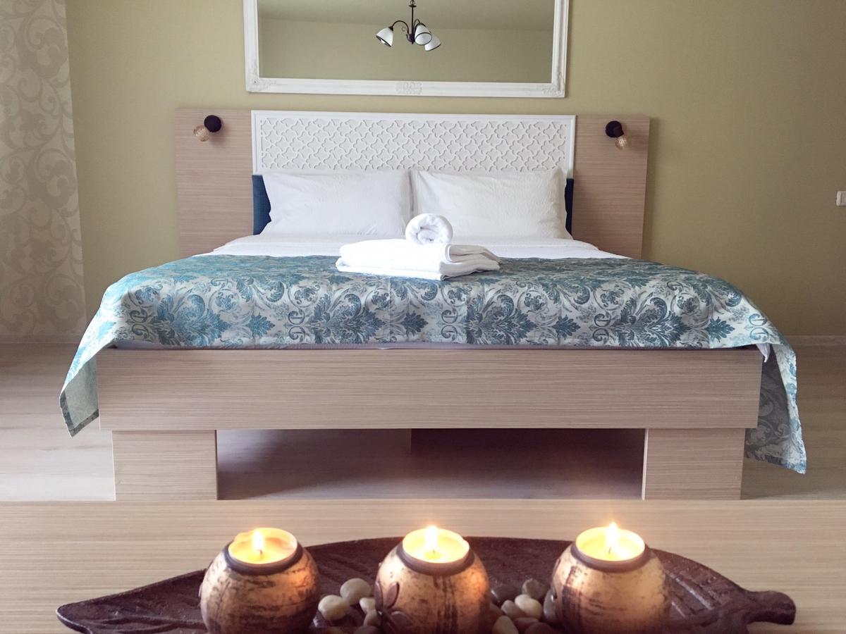 Vila Nicole Hotel Haţeg Buitenkant foto
