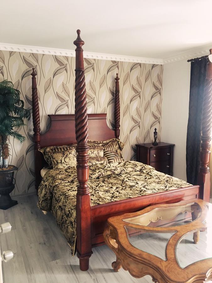 Vila Nicole Hotel Haţeg Buitenkant foto